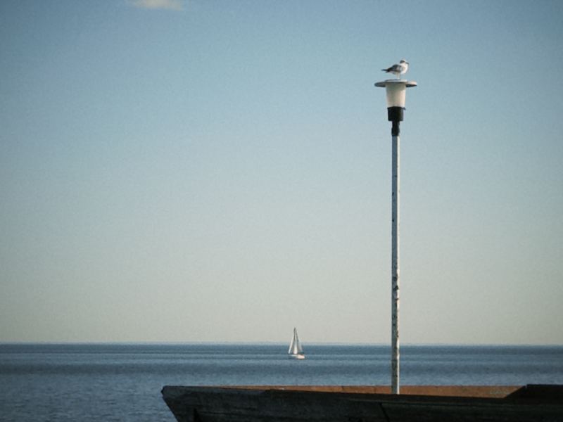 Spadina—Fort York, Toronto, May 28, 2026