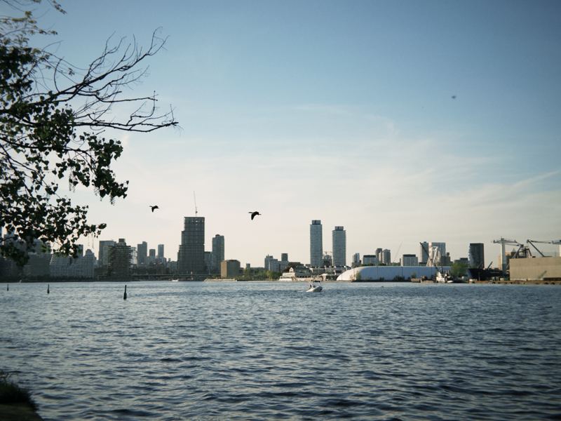 Ward's Island, Toronto, May 28, 2026