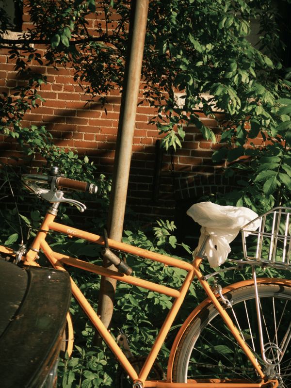 North Riverdale, Toronto, May 30, 2026