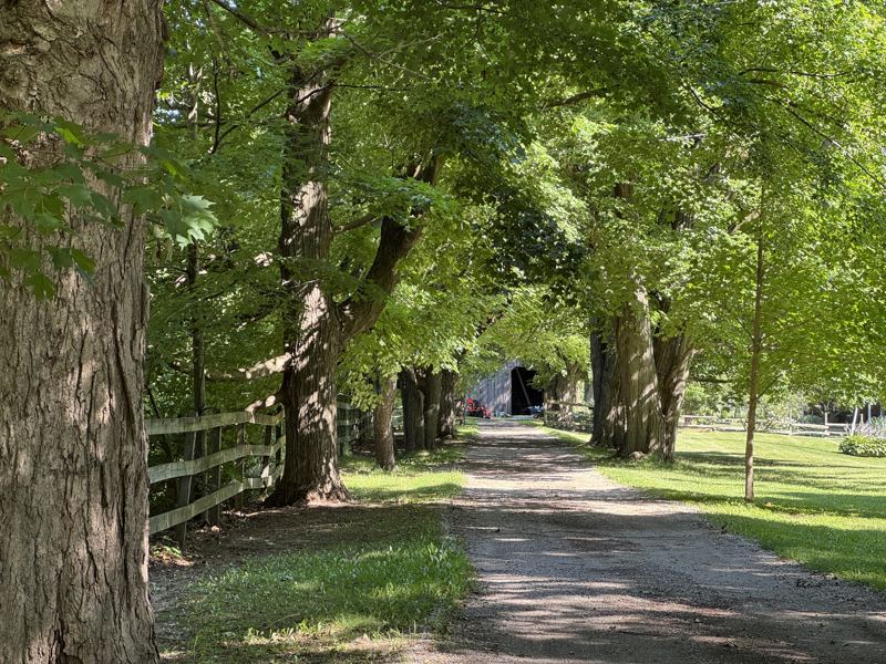 Kilbride, Burlington, Jul 24, 2026